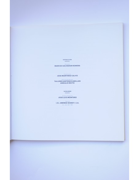 Tercera Bienal de Pintura de Murcia, 1989