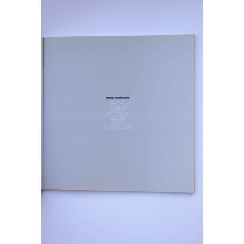 Tercera Bienal de Pintura de Murcia, 1989