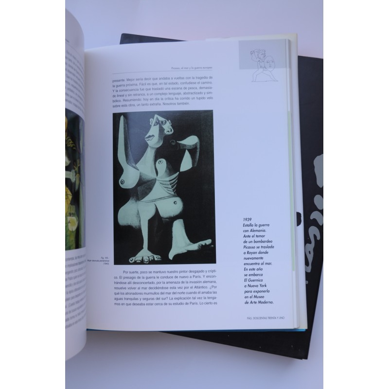 Mediterráneo Picasso