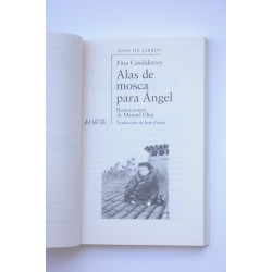 Alas de mosca para Ángel 2
