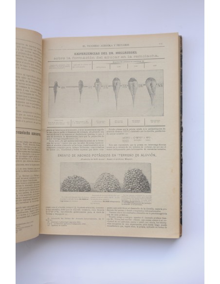 El Progreso agrícola y pecuario. Año XI-1905. Nº 370 (Enero 1904) al Nº 417 (diciembre 1904)