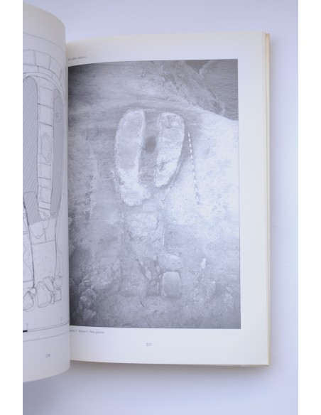 La illeta dels Banyets (El Campello, Alicante). Estudios de la Edad del Bronce y Época Ibérica