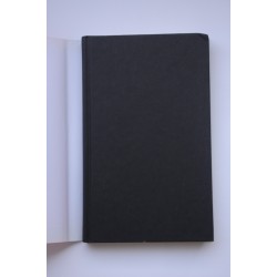 Las promesas políticas 2