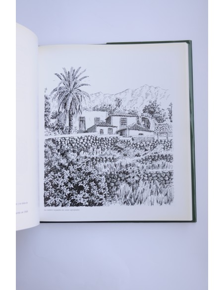 Breña Alta. Retrato con paisaje