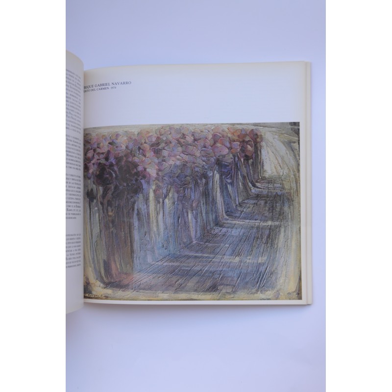 Pintura en Murcia, siglo XX. Fotografía actual...