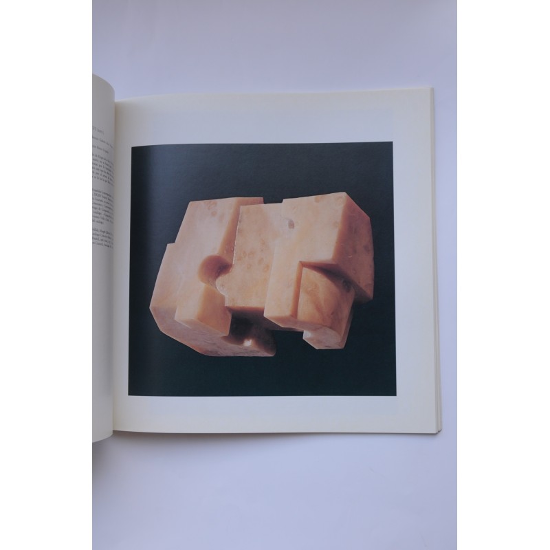 Pintura y escultura de vanguardia en la...