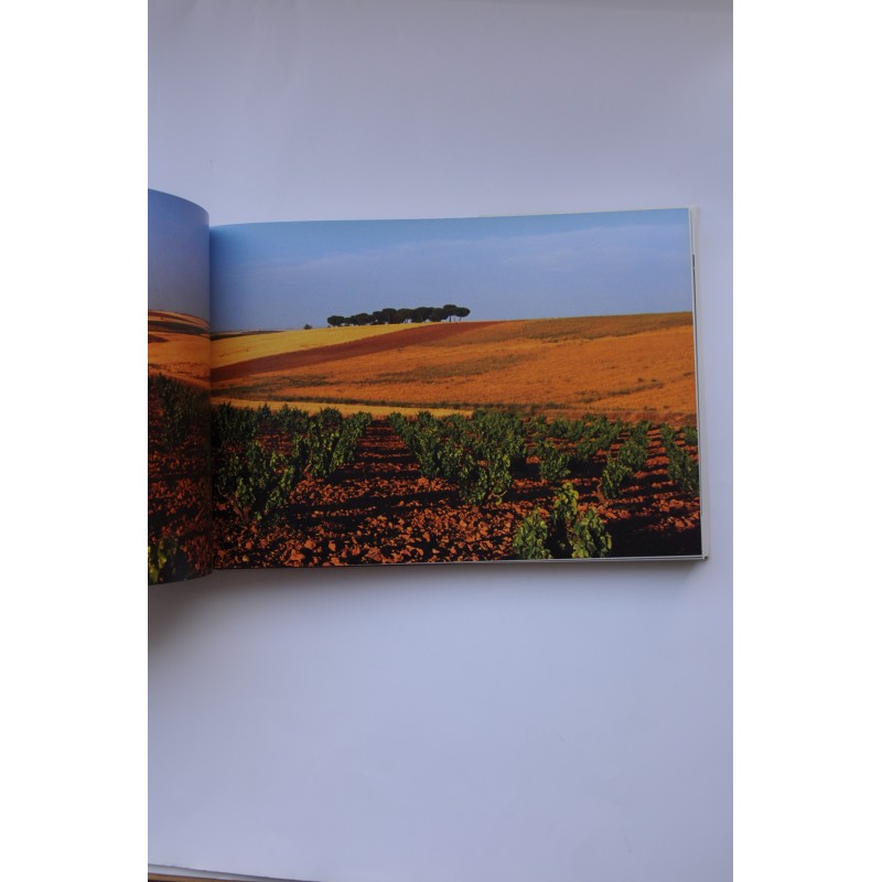 El libro de oro del vino en España