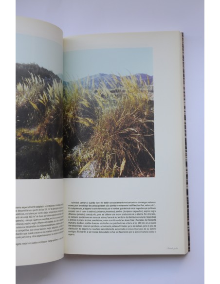 Tiempos de esparto. Memoria gráfica. Cieza siglo XX. Vol. I