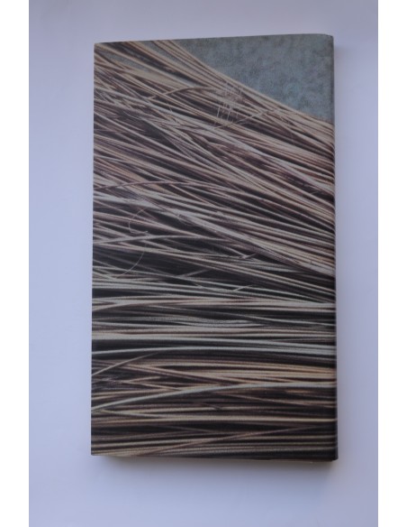 Tiempos de esparto. Memoria gráfica. Cieza siglo XX. Vol. I
