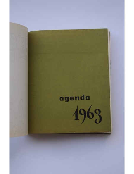 Agenda 1963
