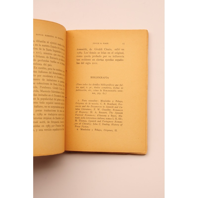 Manual elemental de novelística española