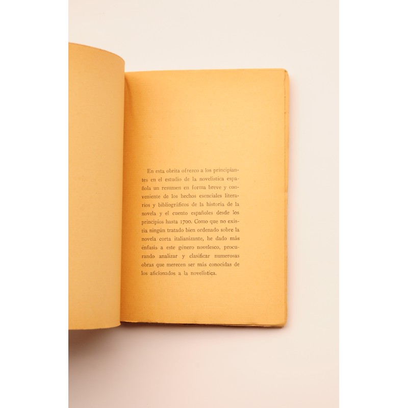 Manual elemental de novelística española