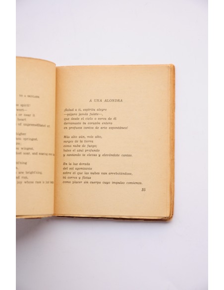 Percy Bysshe Shelley. Poesía