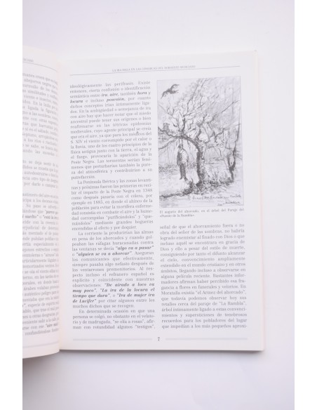 Cangilón : revista etnográfica del Museo de la Huerta de Murcia. nº 21, 2000