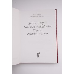 Andrea Delfin, Palabras inolvidables, El Juez, Pájaros... 2
