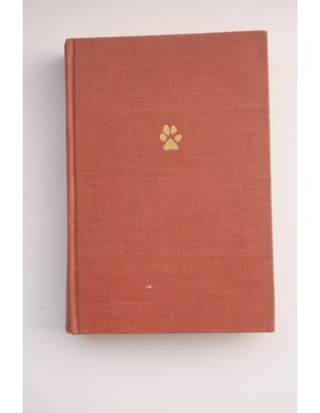 The Fireside book of dog stories