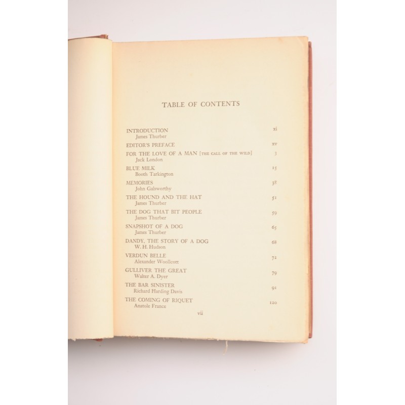 The Fireside book of dog stories