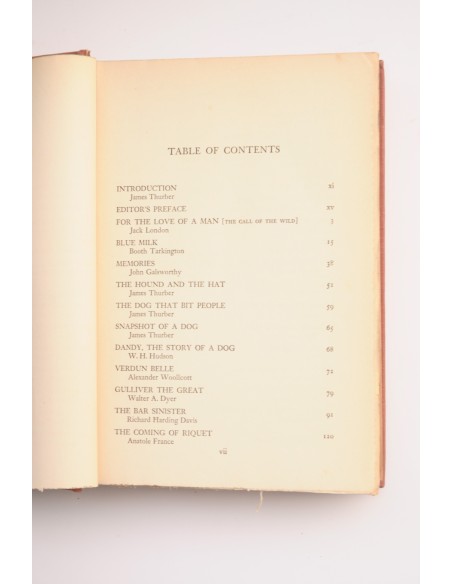 The Fireside book of dog stories