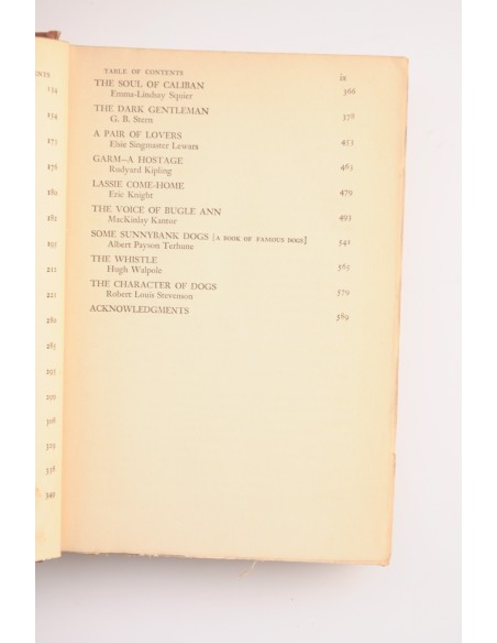 The Fireside book of dog stories