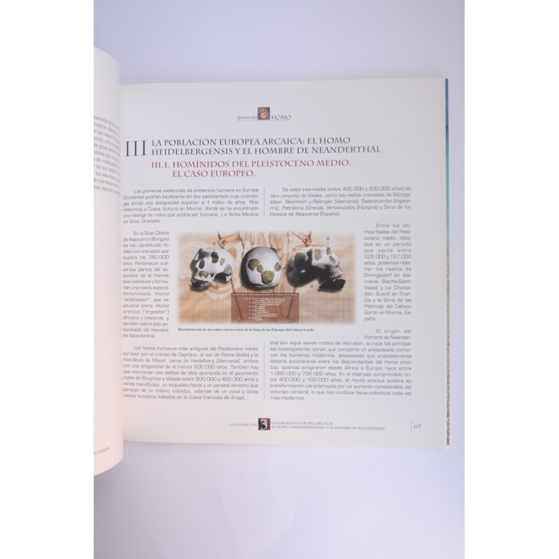 Proyecto Homo. Europeos Arcaicos y Neanderthales