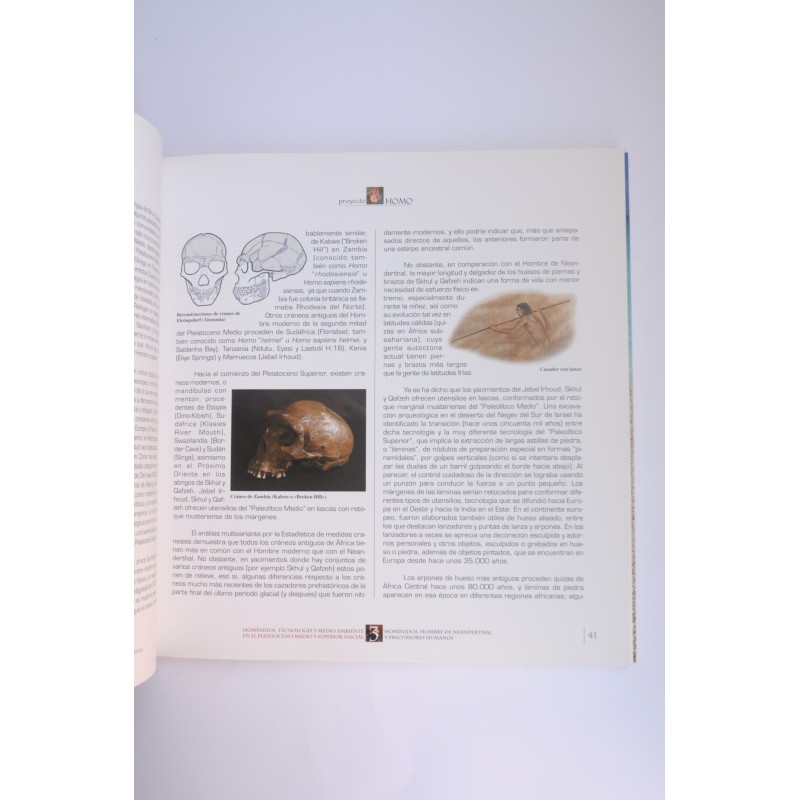 Proyecto Homo. Europeos Arcaicos y Neanderthales