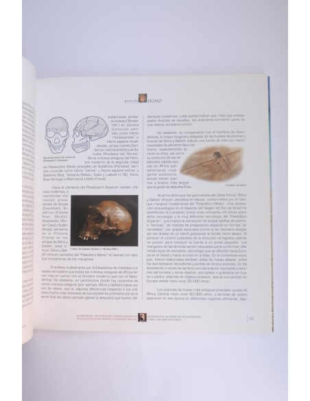Proyecto Homo. Europeos Arcaicos y Neanderthales