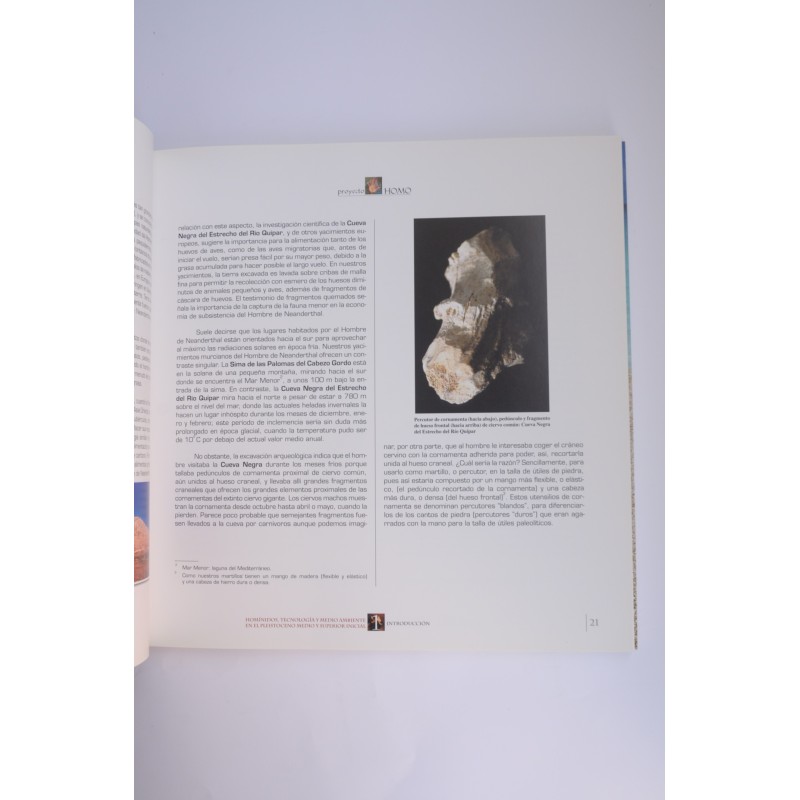 Proyecto Homo. Europeos Arcaicos y Neanderthales