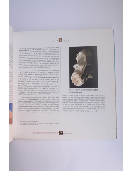 Proyecto Homo. Europeos Arcaicos y Neanderthales