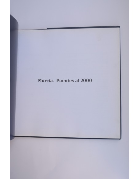 Murcia. Puentes al 2000
