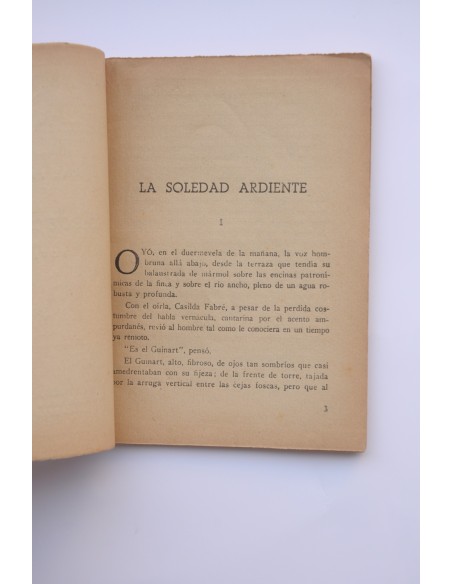 La soledad ardiente