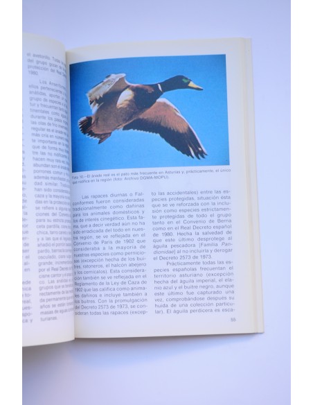 La conservación de los vertebrados terrestres asturianos