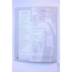 Atlántica Internacional : revista de las arte. Nº 17.... 2