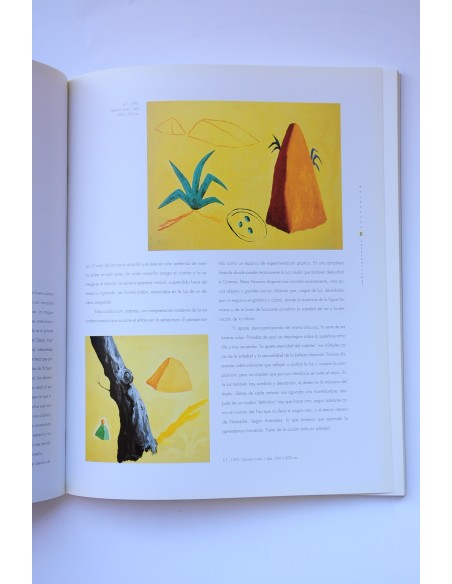 Atlántica Internacional : revista de las arte. Nº 13. Primavera 1996
