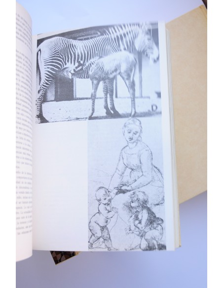 Enciclopedia de la mujer