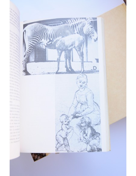 Enciclopedia de la mujer