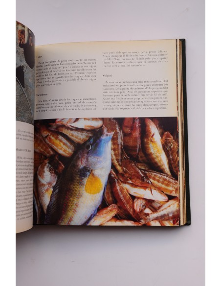 La pesca a Catalunya