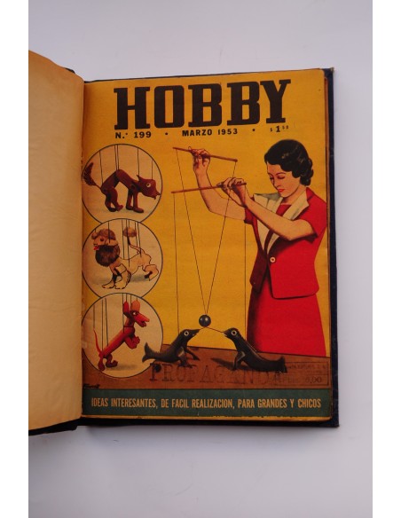 Hobby : ideas interesantes, de fácil realización, para grandes y chicos