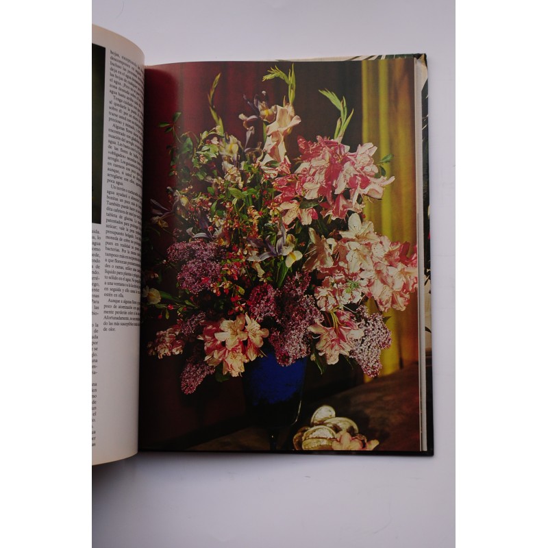 Flores y plantas en casa