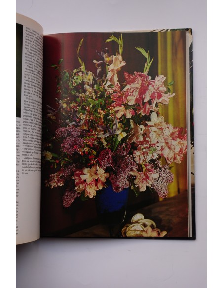 Flores y plantas en casa