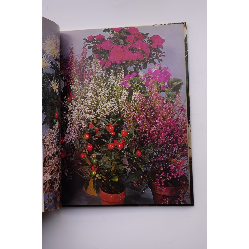 Flores y plantas en casa