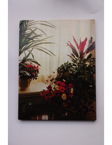 Flores y plantas en casa