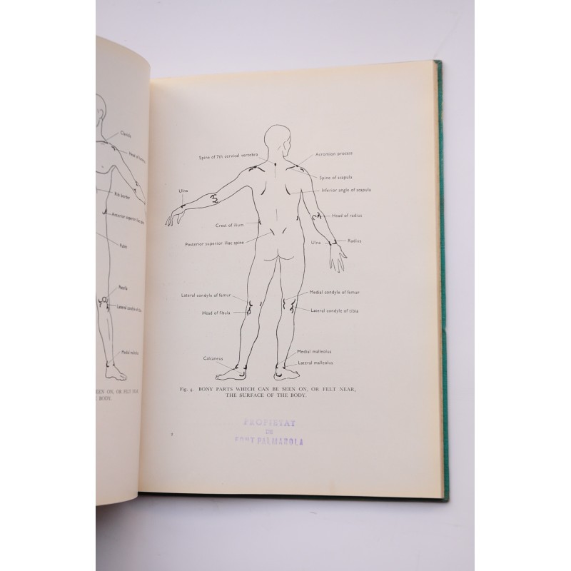 Anatomy and ballet : a handbook for teachers of...