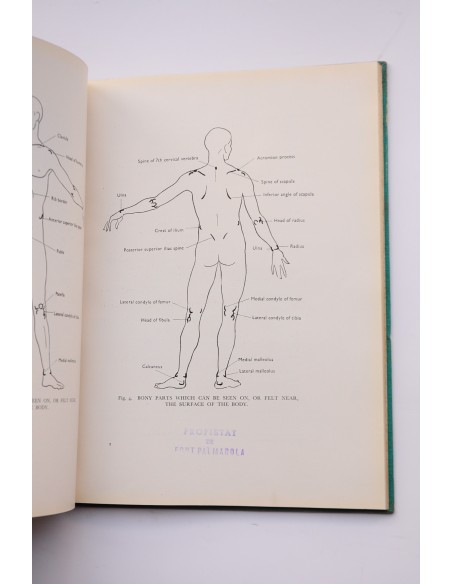 Anatomy and ballet : a handbook for teachers of ballet