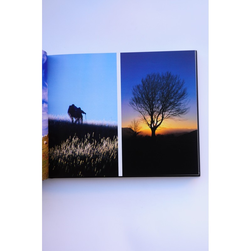 Mendiz-Mendi Mendez-mend, paisajes culturales,...