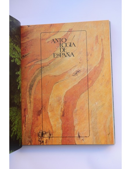 Antología de España