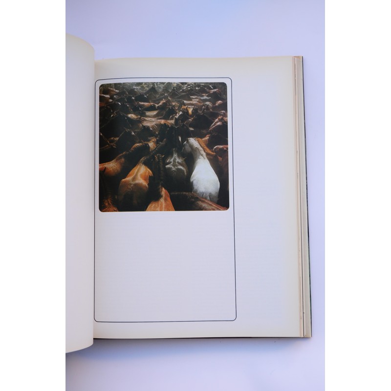 Antología de España