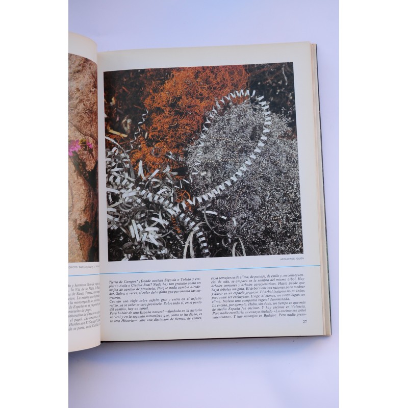 Antología de España