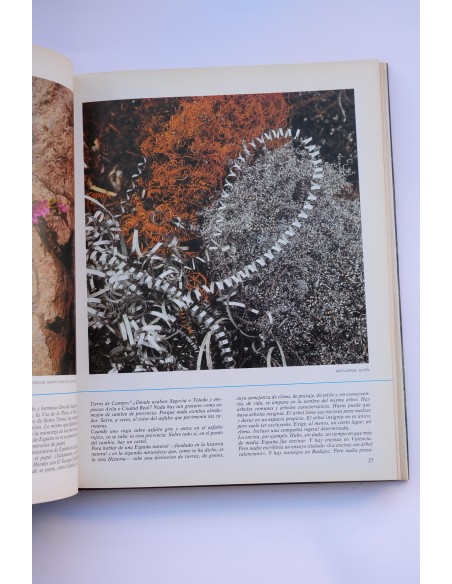 Antología de España