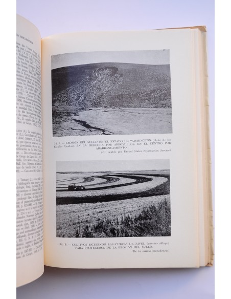 Geomorfología