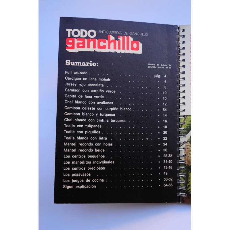 Todo ganchillo. Año IV, nº 25